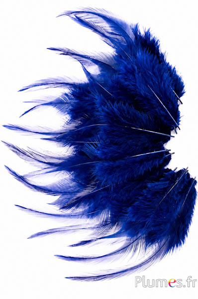 Haan - 8-12 cm - donkerblauw